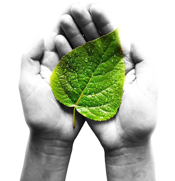leaf-hand